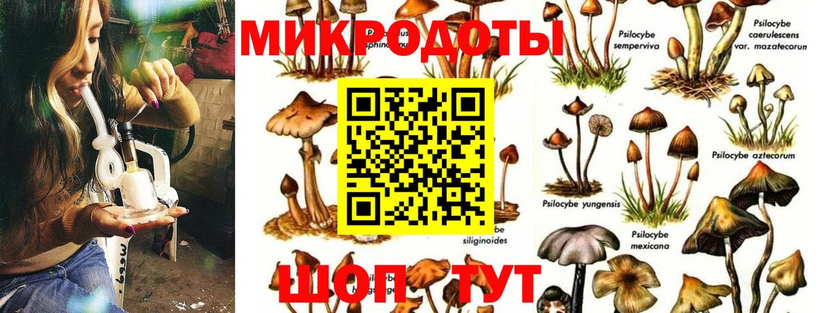 Галлюциногенные грибы MAGIC MUSHROOMS  Галлюциногенные грибы Cubensis  наркота  Вход с VPN  Белореченск 
