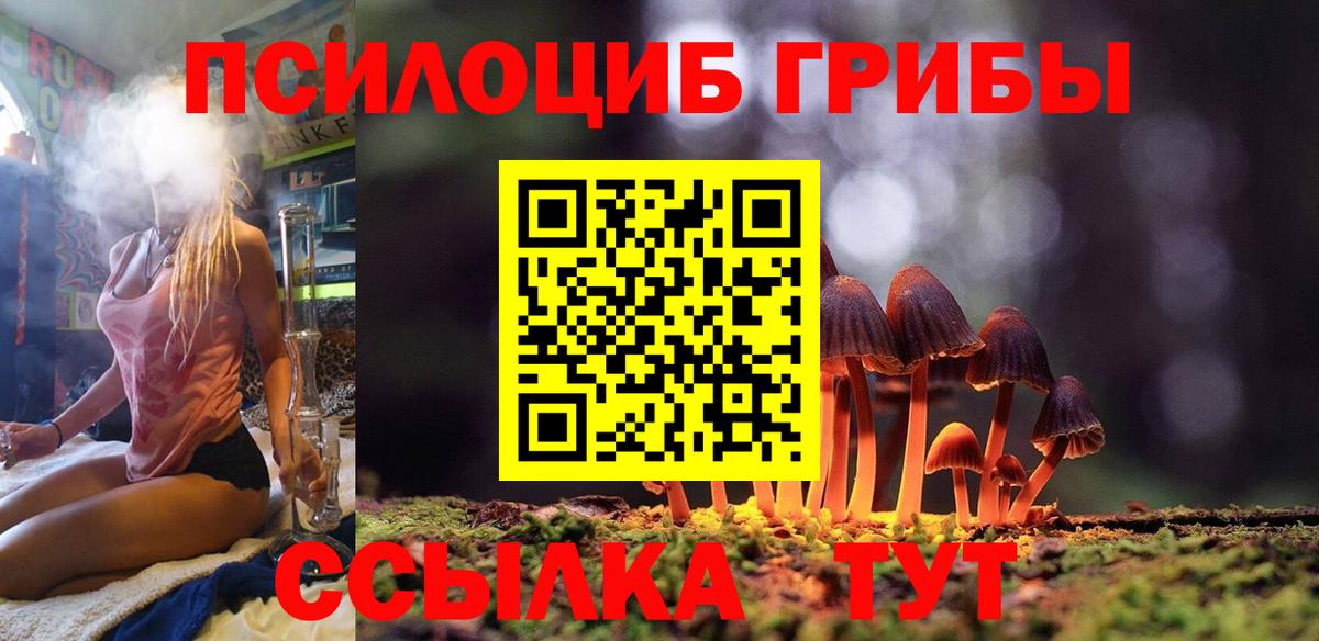 Галлюциногенные грибы Psilocybine cubensis Белореченск